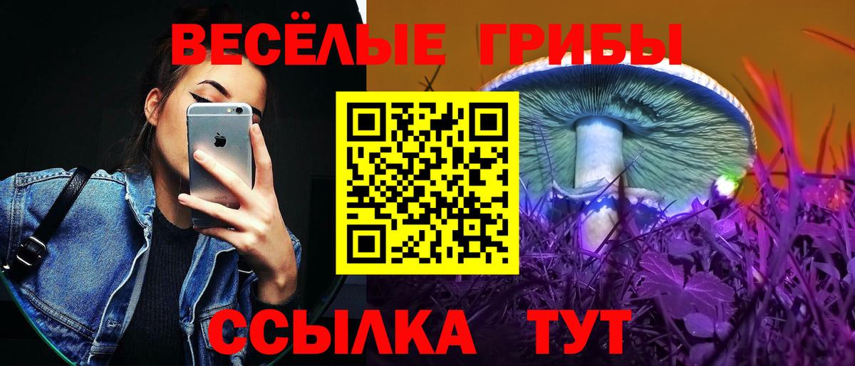 Псилоцибиновые грибы ЛСД Севастополь